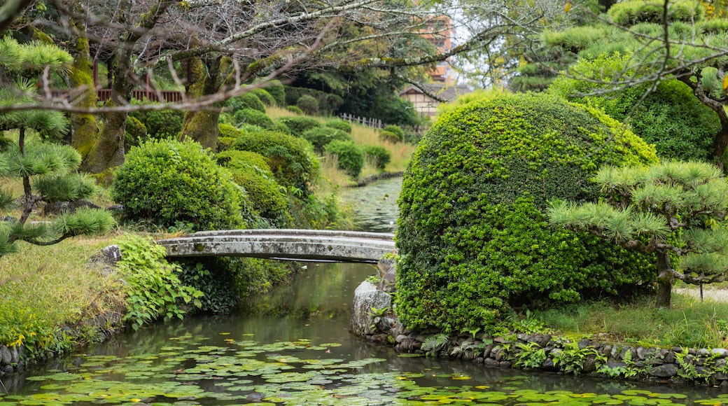Dogo Park featuring a bridge, a pond and a park