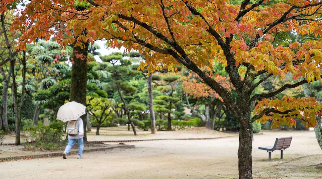 Dogo Park featuring a park and autumn leaves