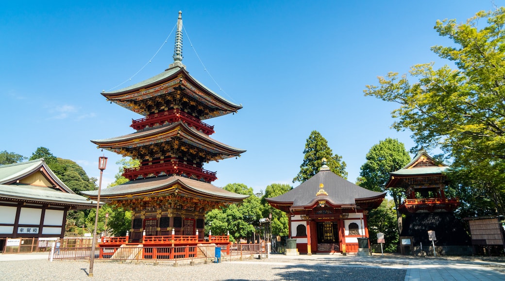 Narita Tourist Pavilion showing heritage elements