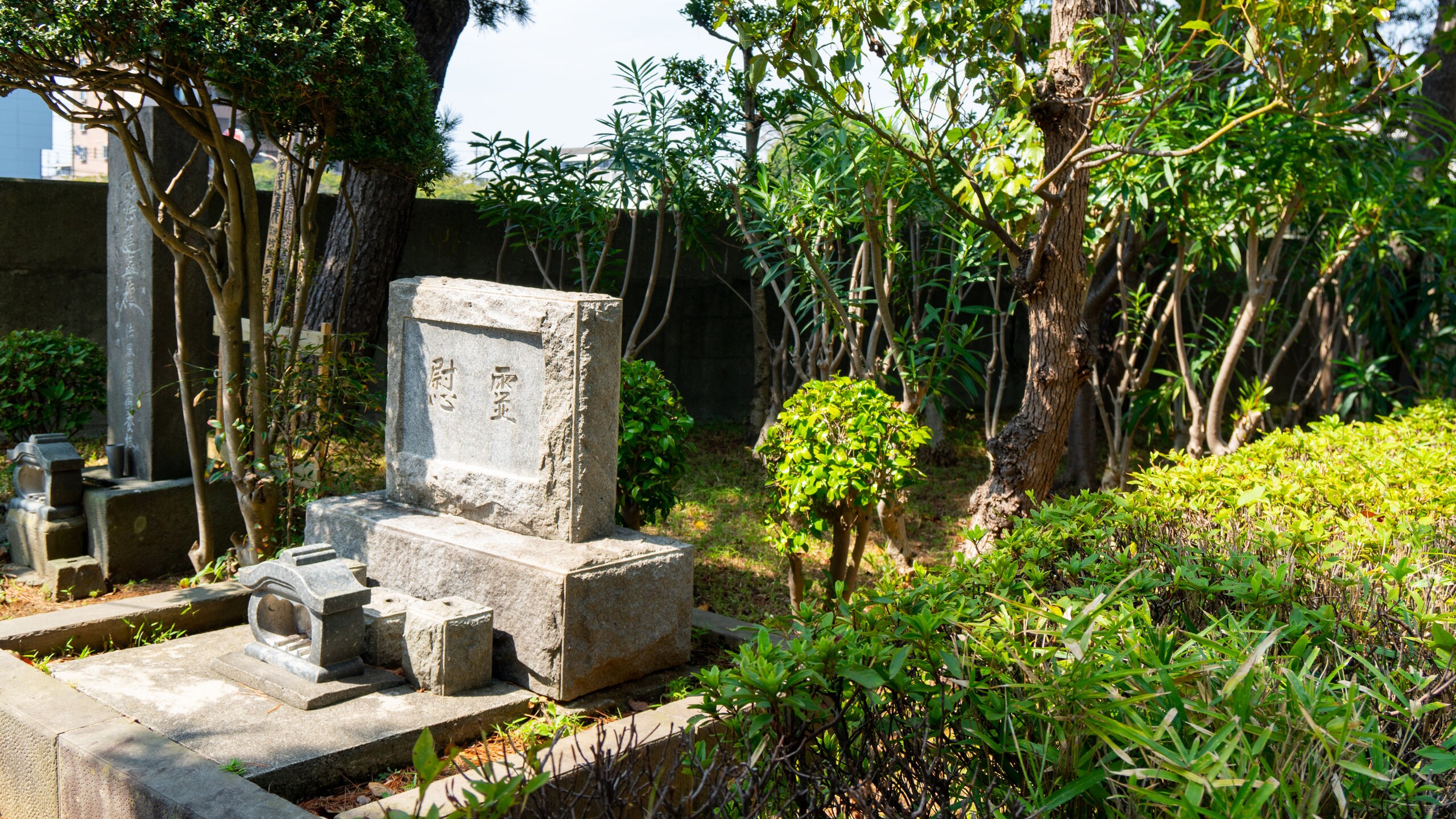Urayasu which includes a park