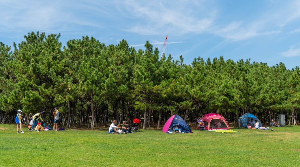 浦安市公園