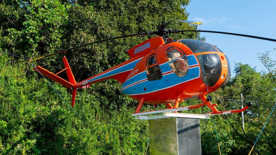 Museum of Aeronautical Sciences which includes an aircraft