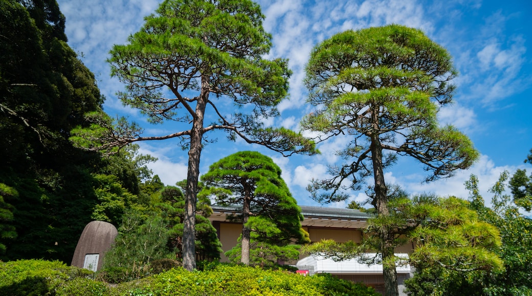 Naritasan Park which includes a garden