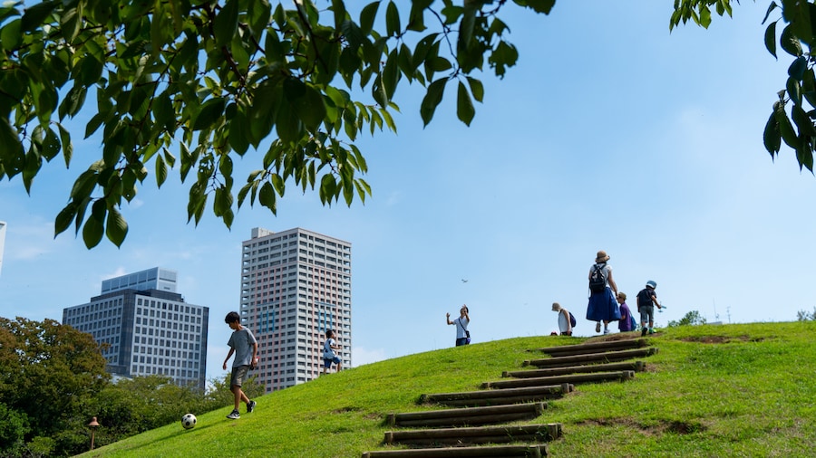 Wakashio Park