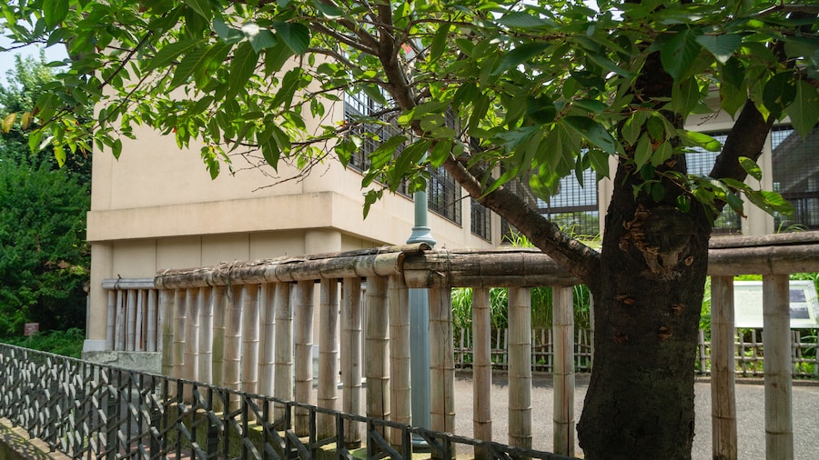 Musée d'art mémorial de Ryūshi