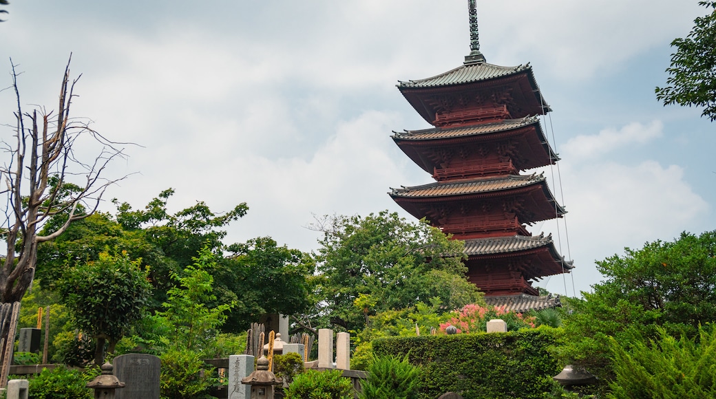 Ikegami Honmonji Temple which includes a temple or place of worship and heritage architecture