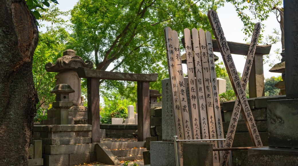 Ikegami Honmonji Temple showing a garden and signage