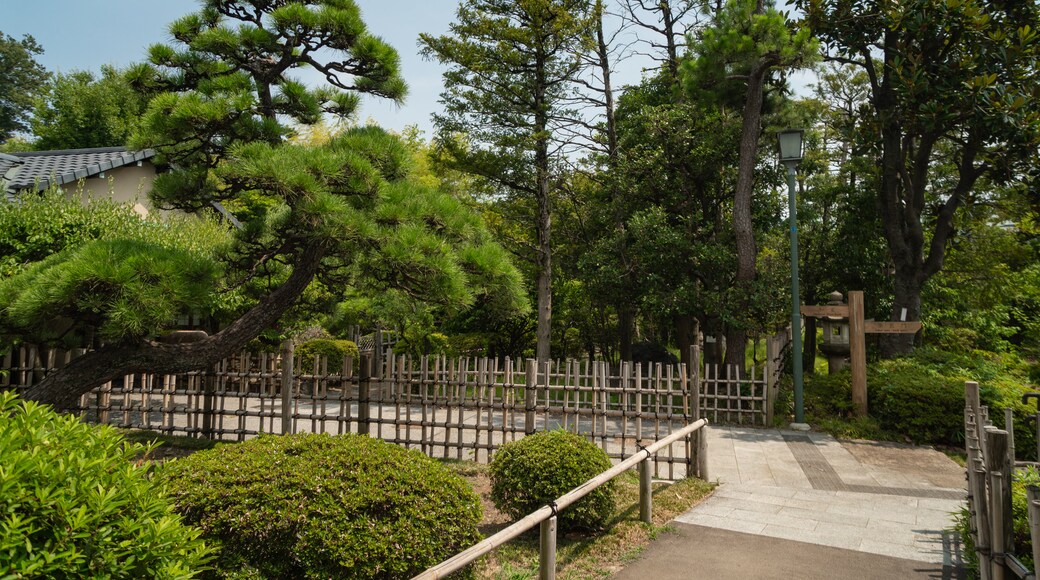 Ikegami Baien Plum Tree Garden showing a park