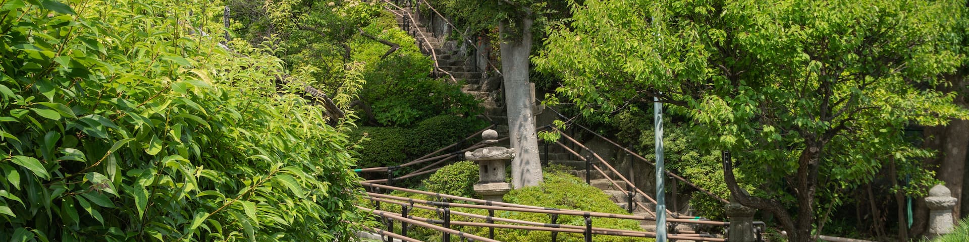 Ikegami Baien Plum Tree Garden which includes a park