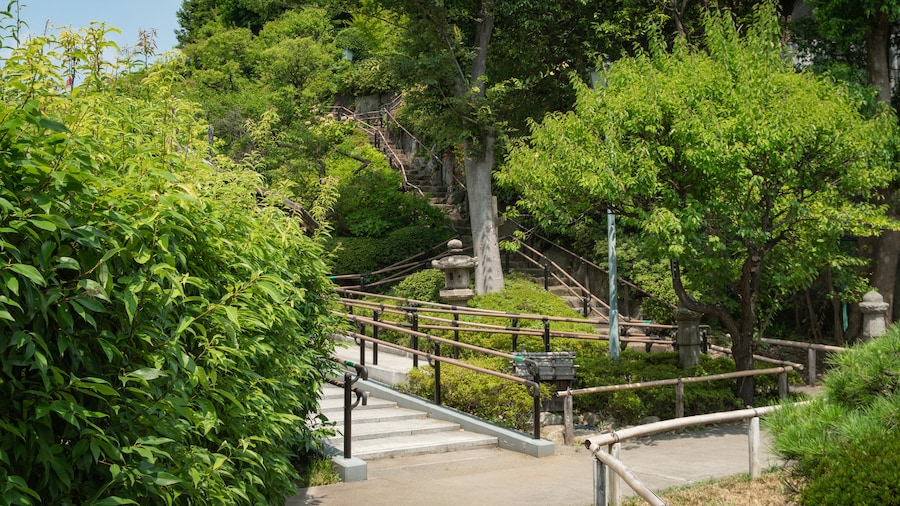 Ikegami Baien Plum Tree Garden