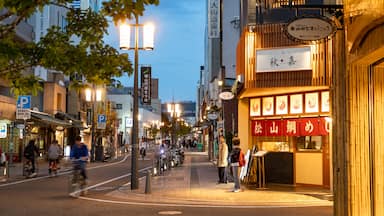 Matsuyama which includes street scenes, a city and night scenes