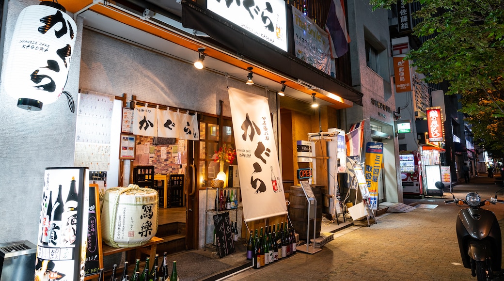 Kanda showing night scenes and signage