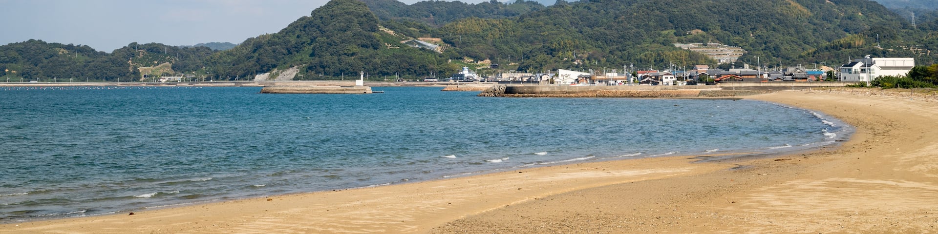 Horie showing general coastal views and a sandy beach