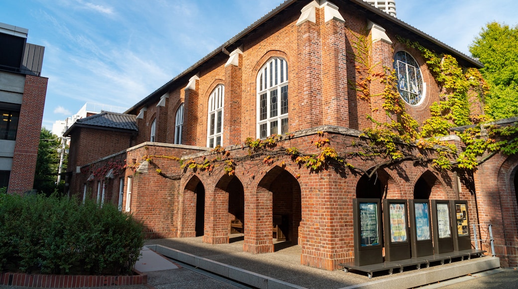Universidade Rikkyo