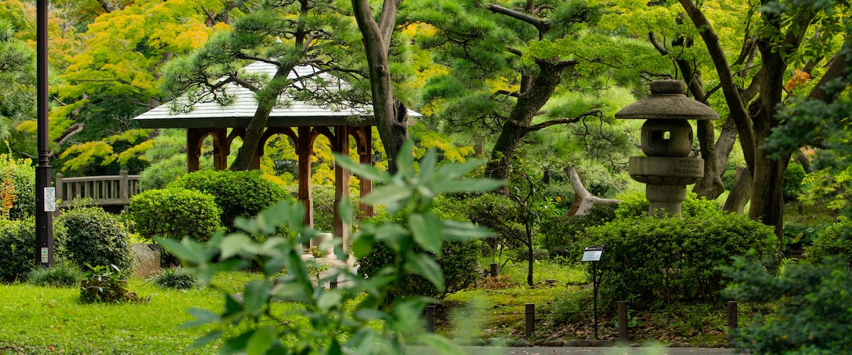 Hibiya Park which includes a park