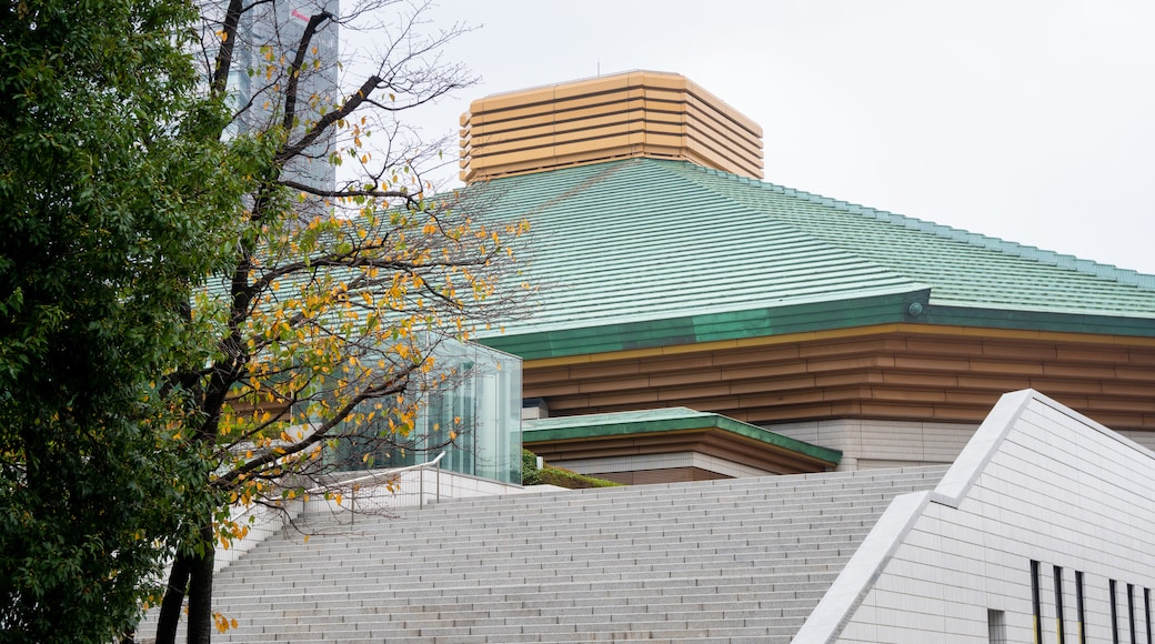 Ryogoku Kokugikan