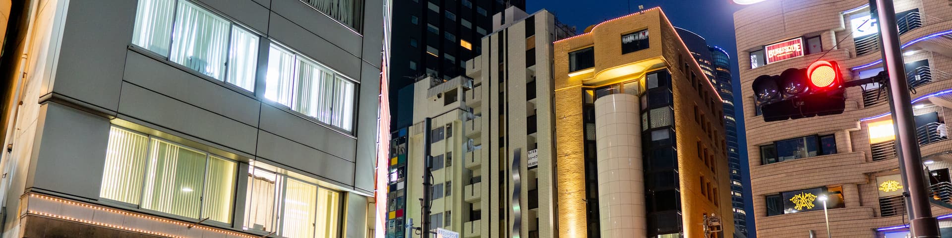 Tokyo Midtown which includes a city, night scenes and street scenes