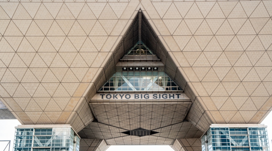 Tokyo big Sight. Tokyo big