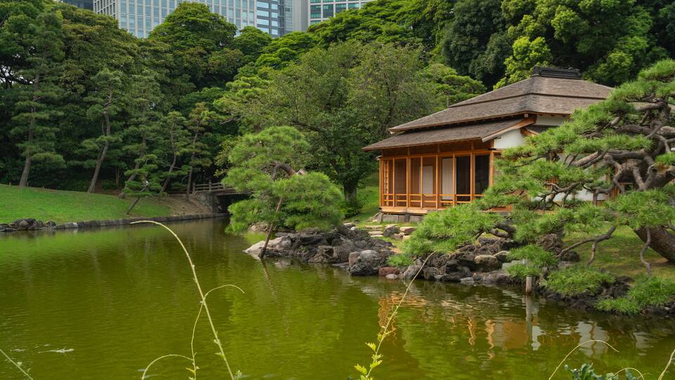 Hamarikyu Garden which includes a pond