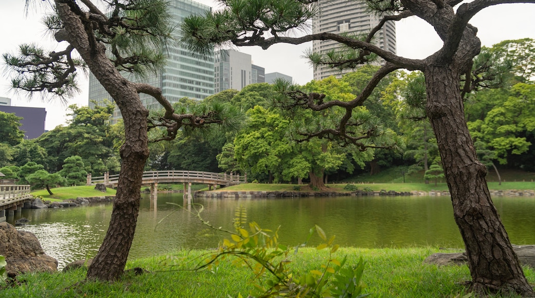 Hamarikyu Gardens