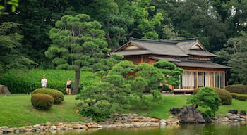 Hamarikyu Garden which includes a pond and a park