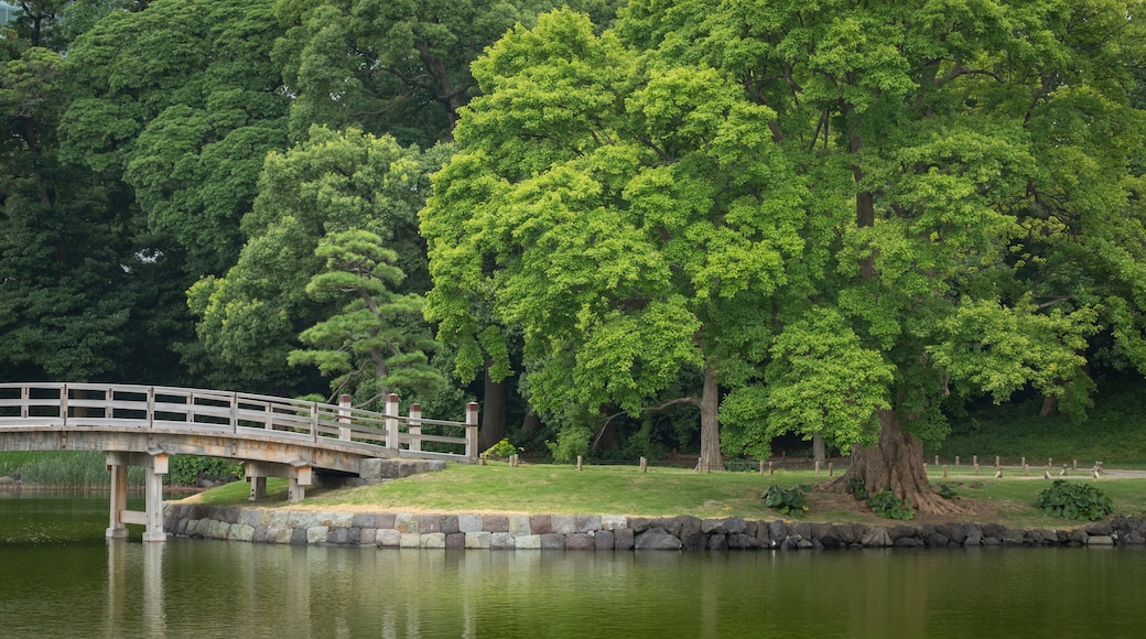 Hamarikyu Garden