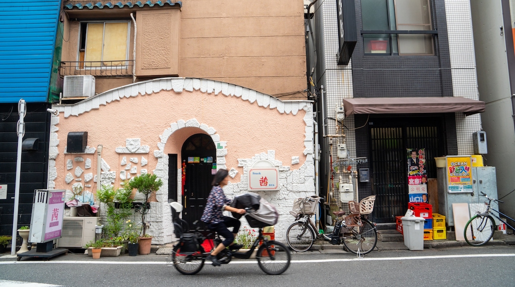 Western Tokyo