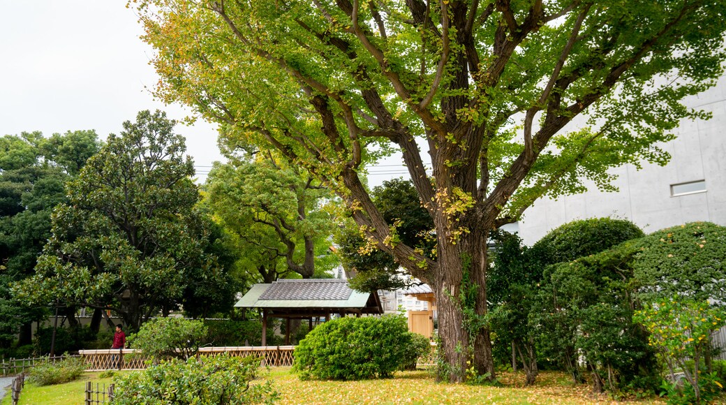 Kyu Yasuda Garden