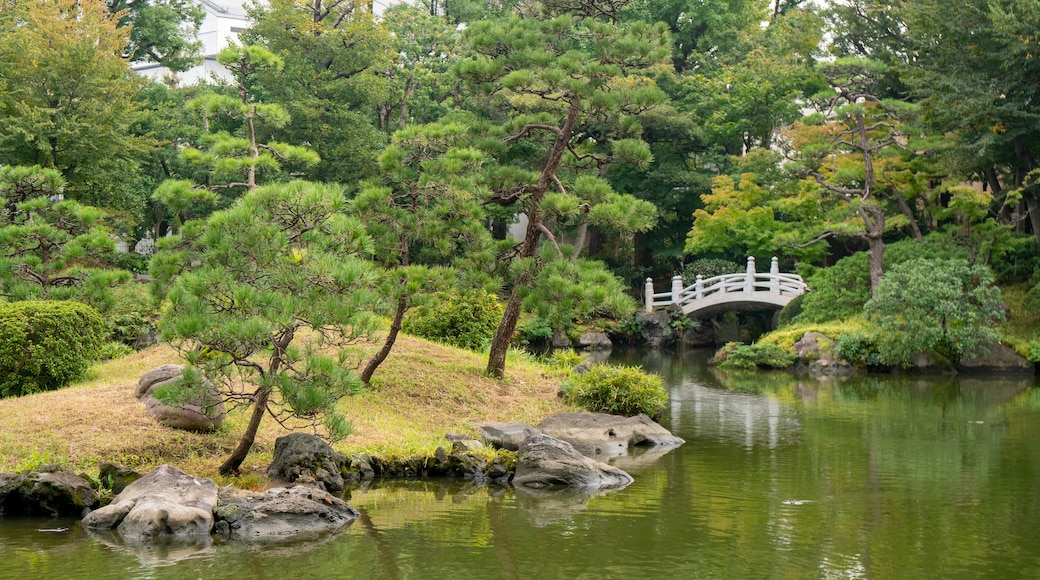 Kyu Yasuda Garden which includes a pond and a park