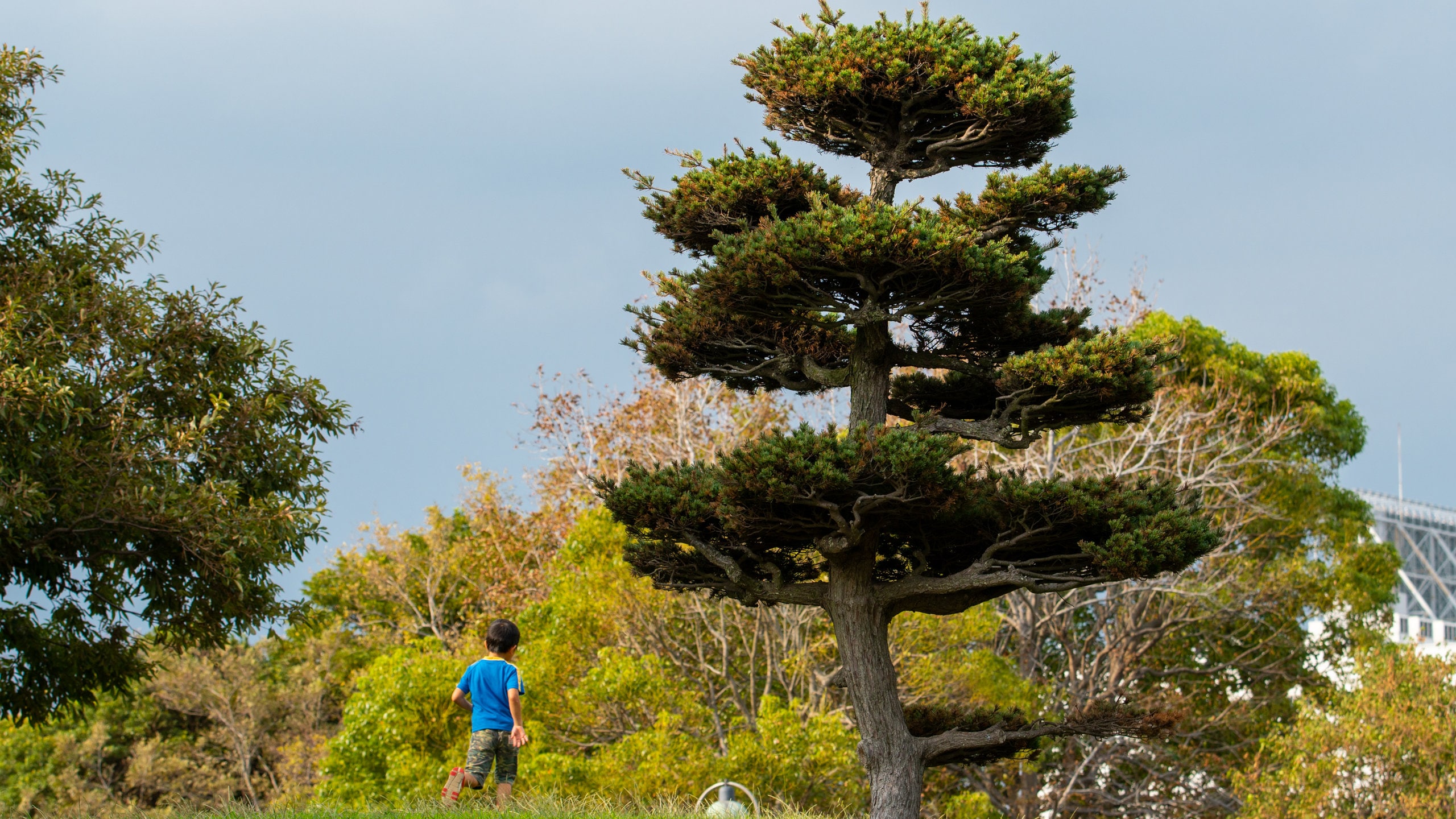Kasai Rinkai Park