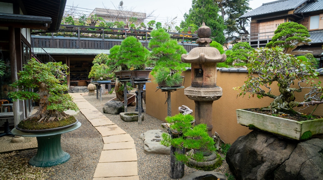 Shunkaen Bonsai Museum