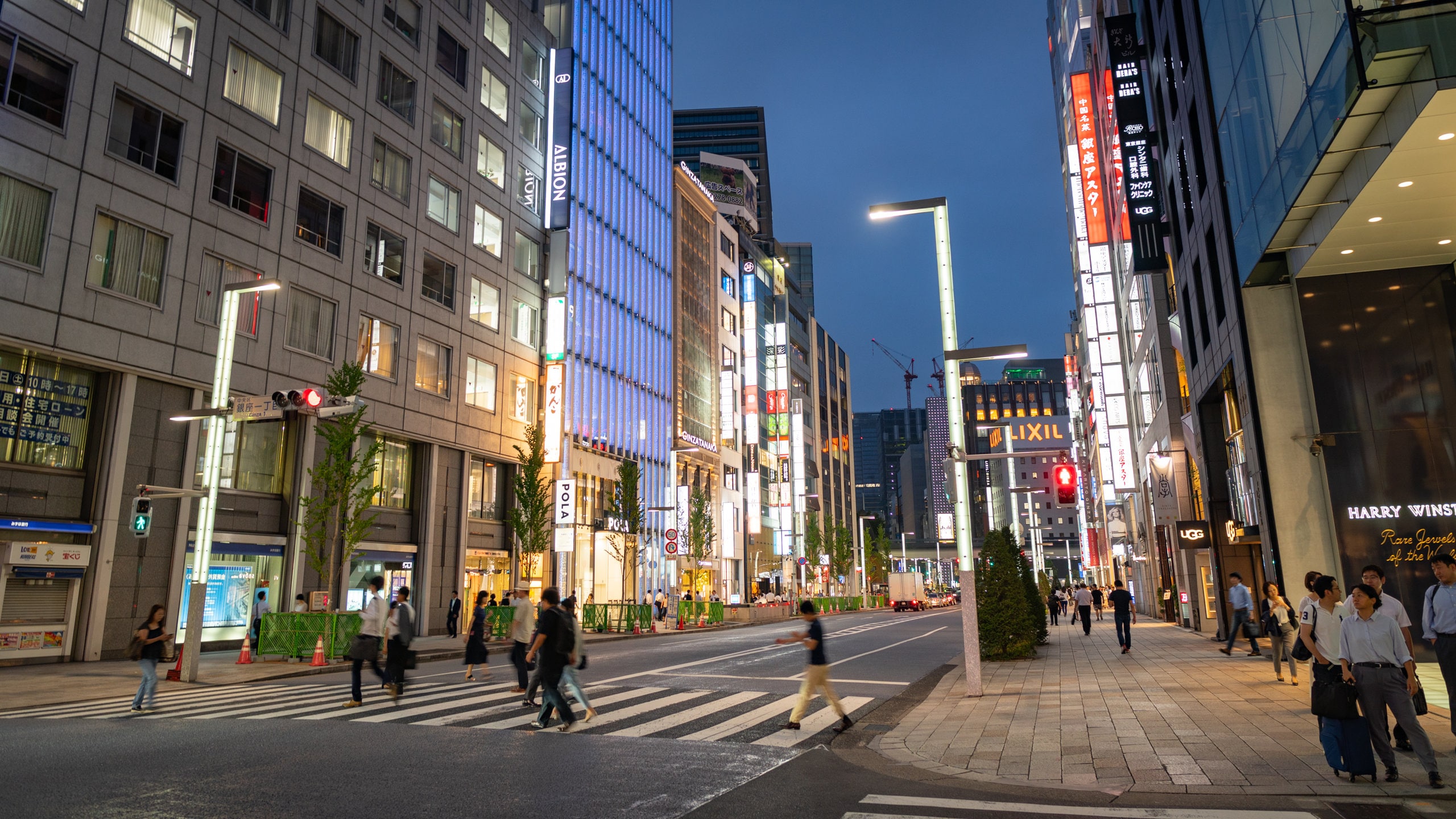 Visit Ginza: Best of Ginza, Tokyo Travel 2026 | Expedia Tourism