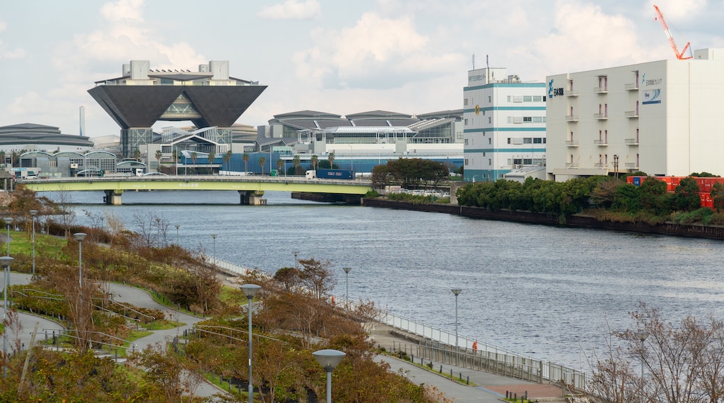 Bahía de Tokio