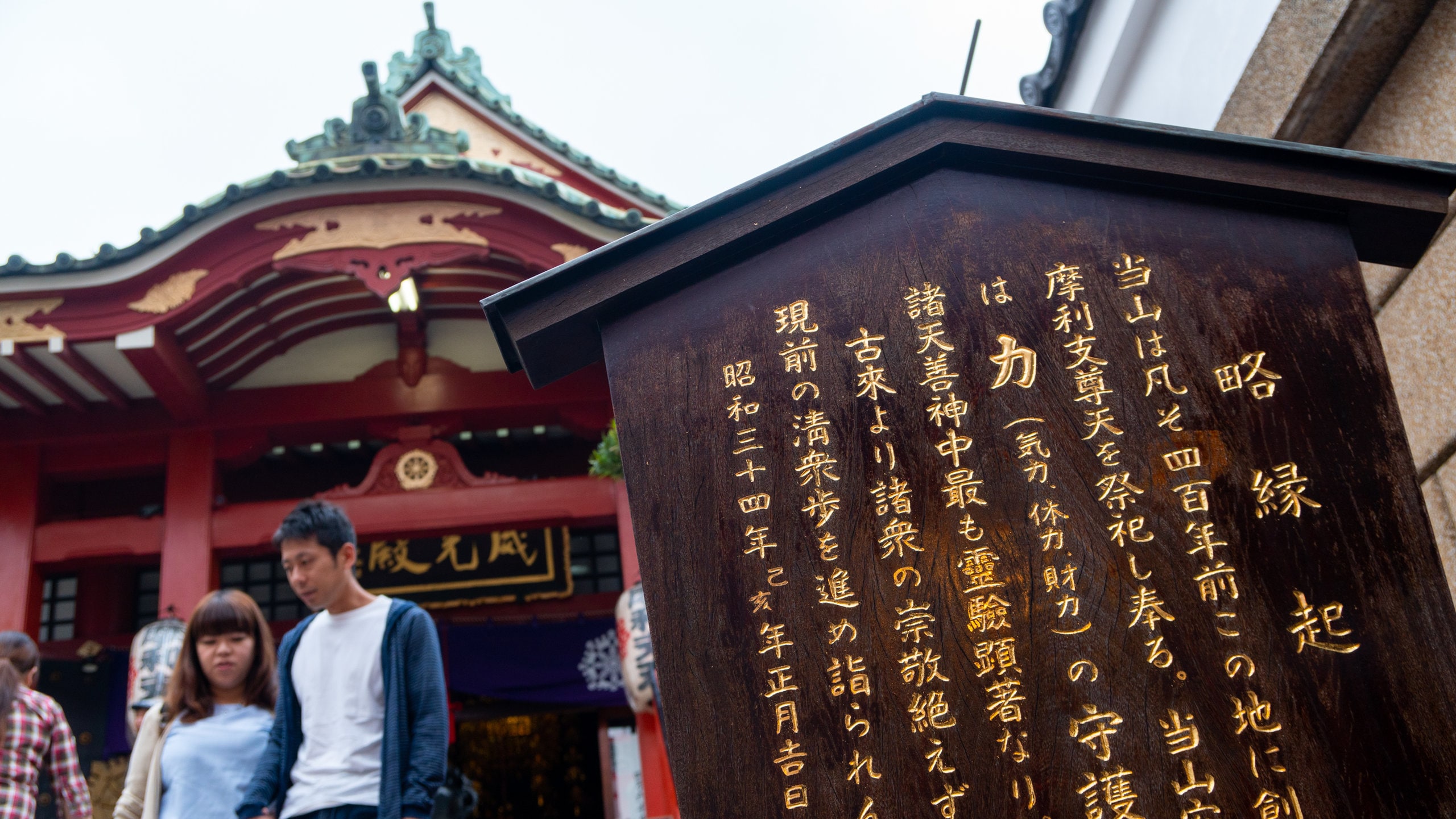 上野歩出品 1200×600×800 上野観光ガイド～定番人気スポットを参考に自分にピッタリの観光プラン