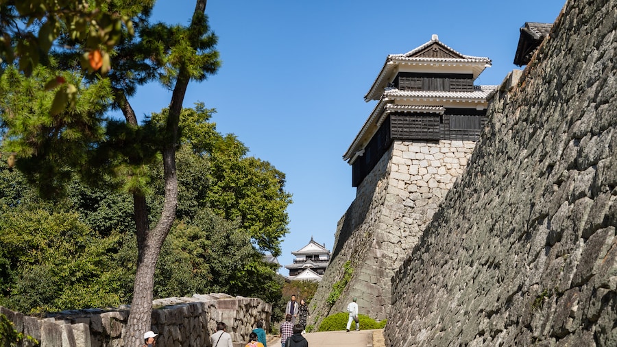 Matsuyama-kasteel