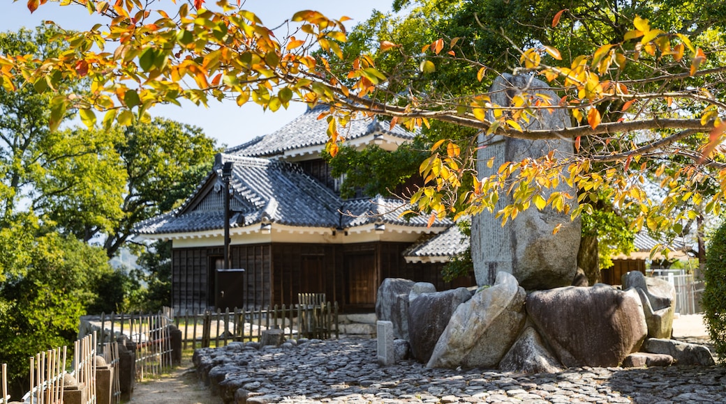 Château de Matsuyama