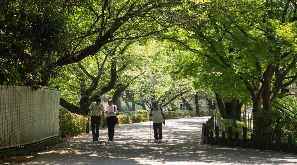 Công viên Omiya