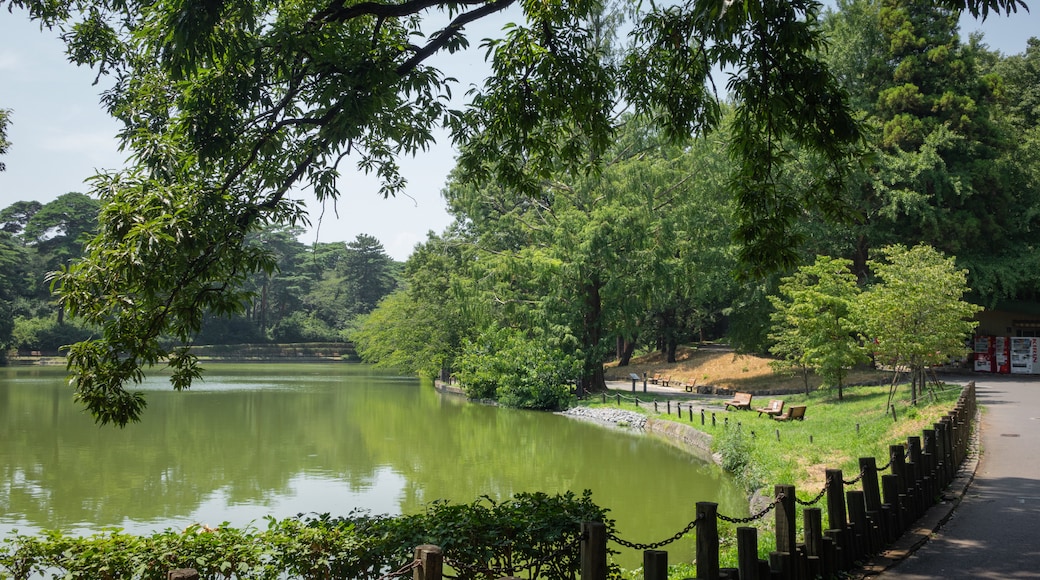Parque de Omiya