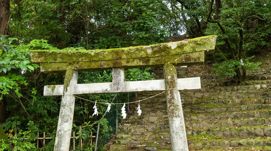 湯築城遺跡