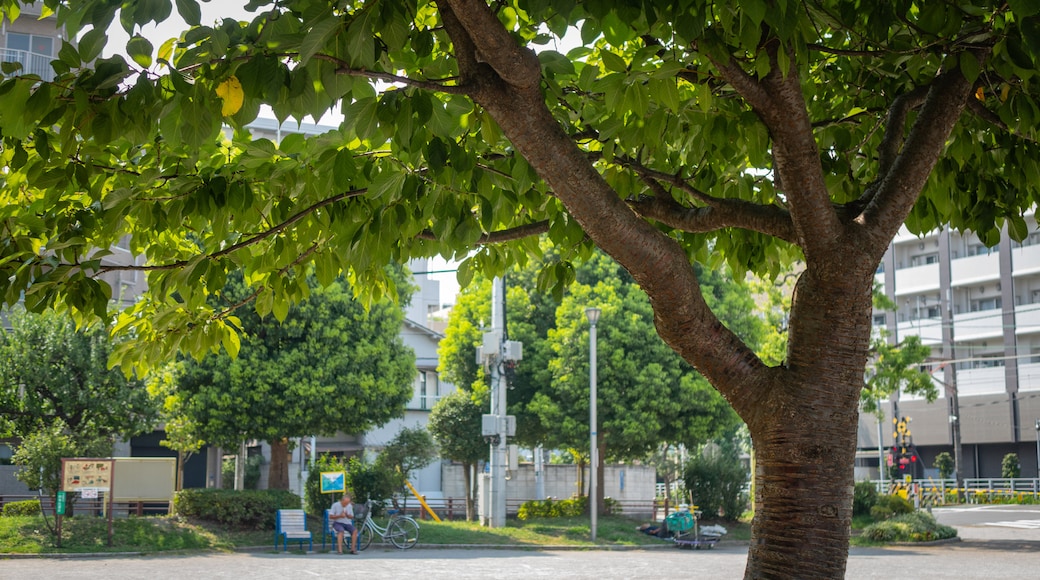 Parque Nishikamata