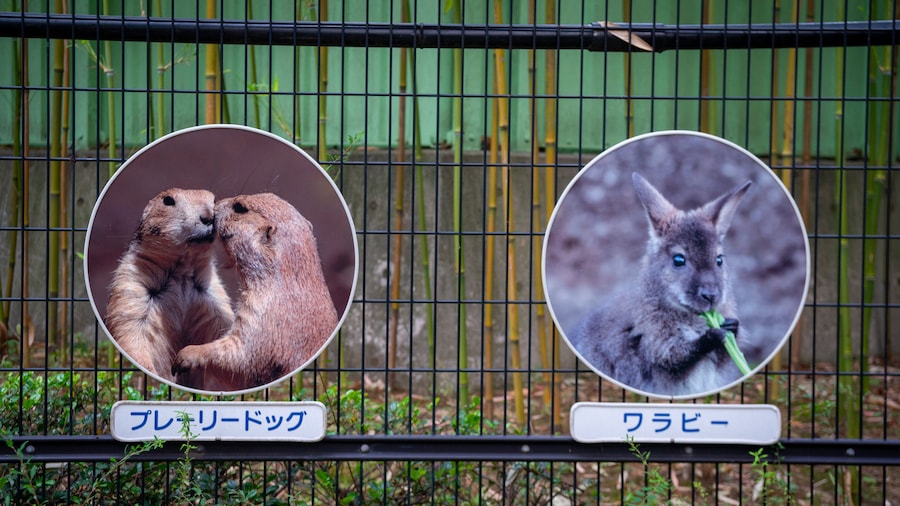 ZoolĂłgico Natural de Edogawa