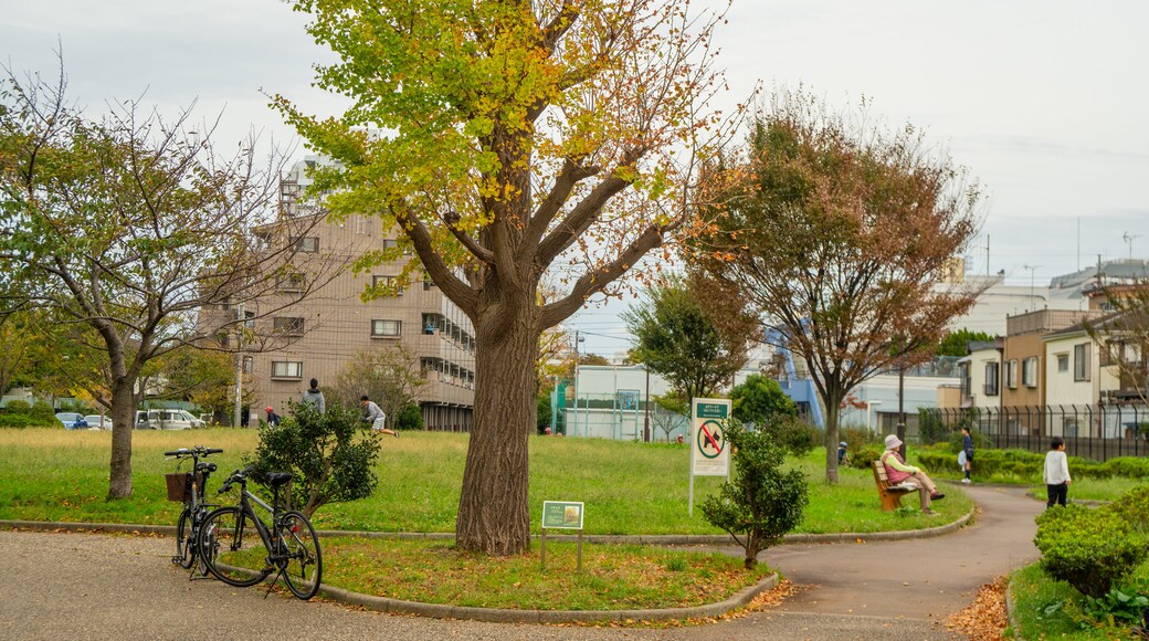 Parque Ukita