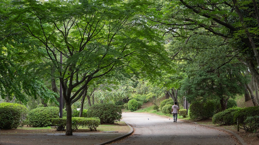 Parc Chiba Park