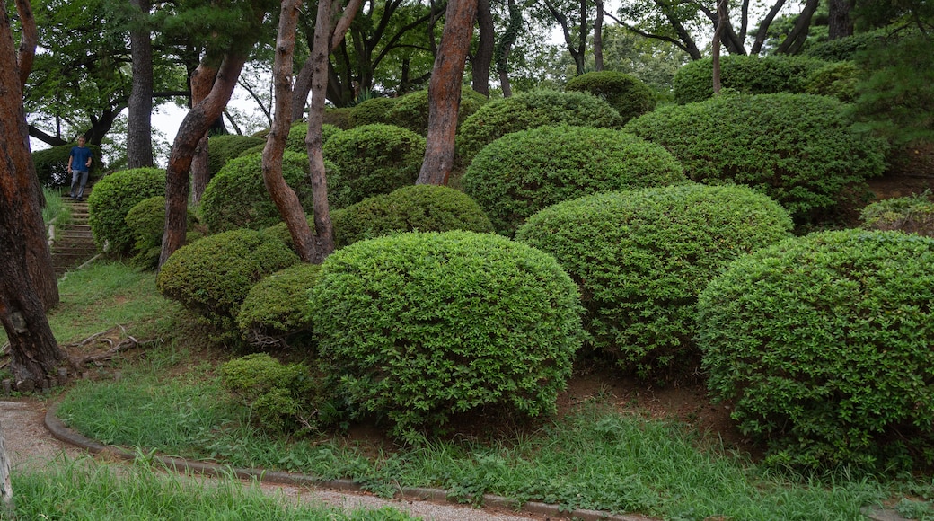 Chiba Park