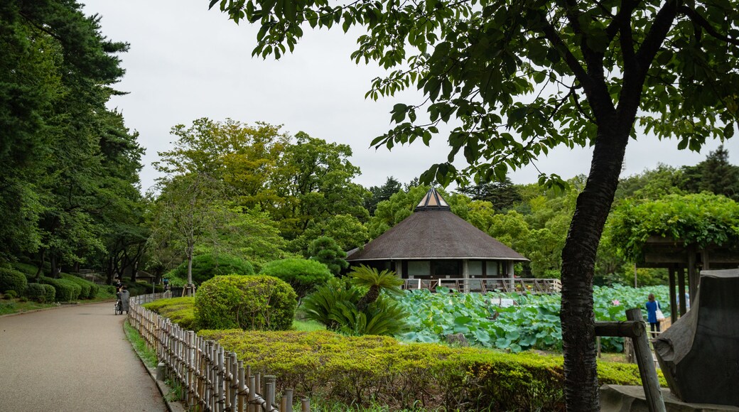 Taman Chiba