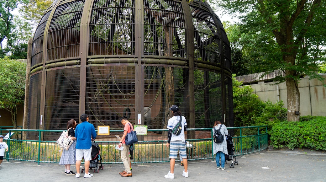 Chiba Zoological Park