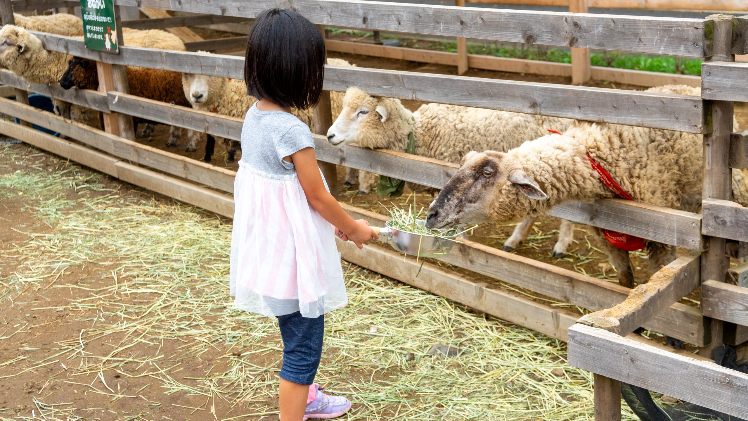 Chiba Zoological Park