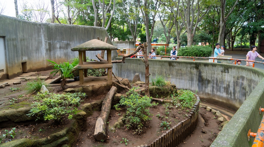 Taman Zoologi Chiba