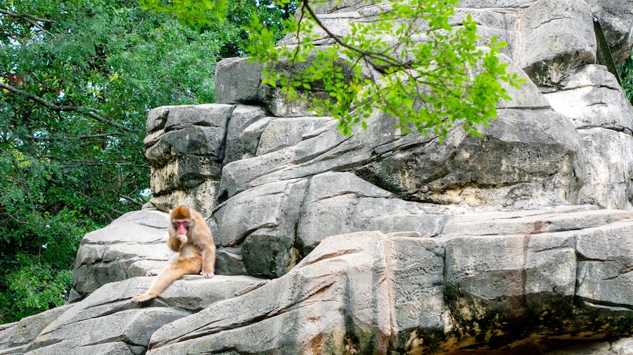Chiba Zoological Park