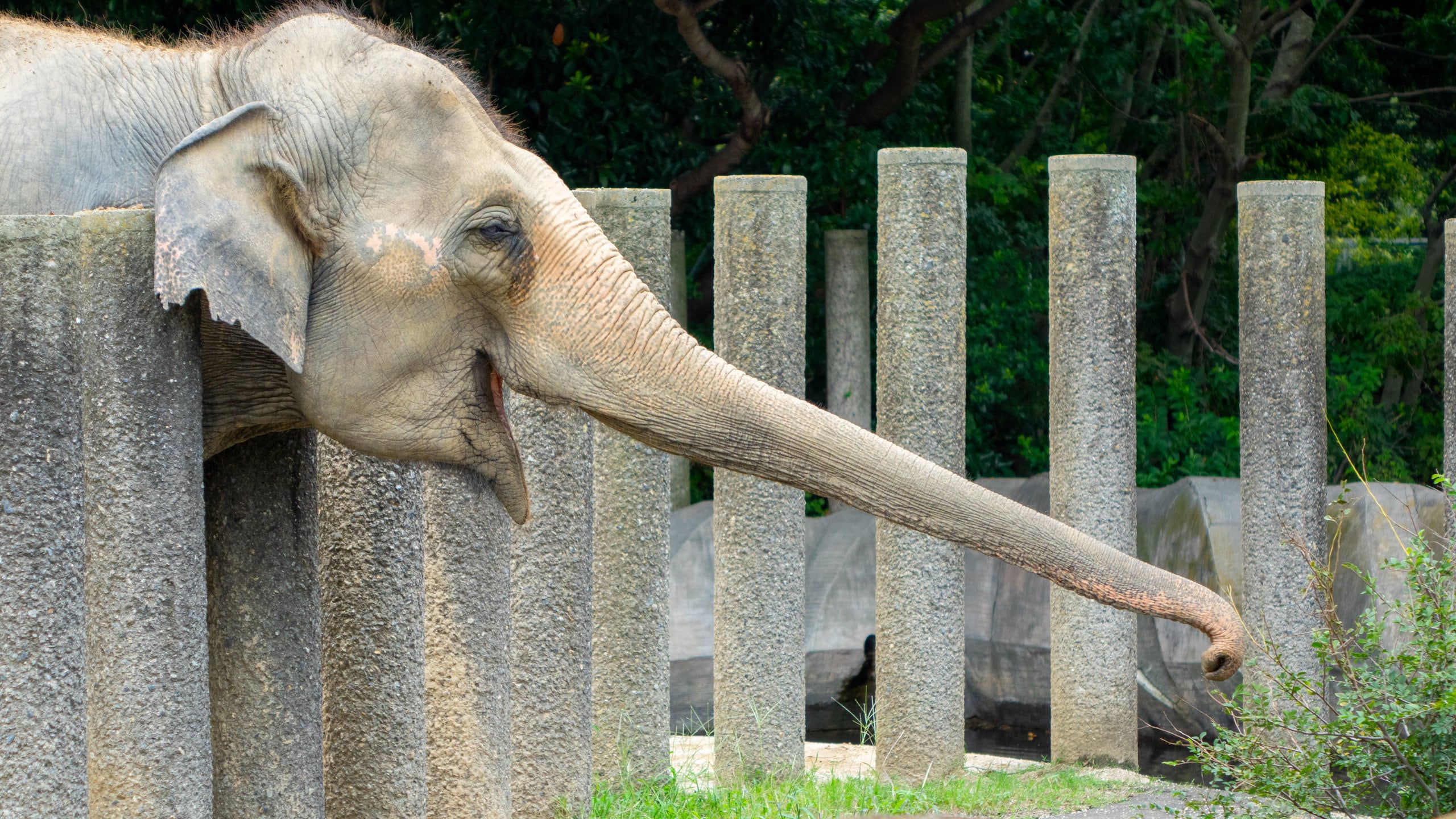 Wakaba千葉市動物公園熱門旅遊景點 22 千葉市動物公園觀光景點推薦 Expedia Com Tw